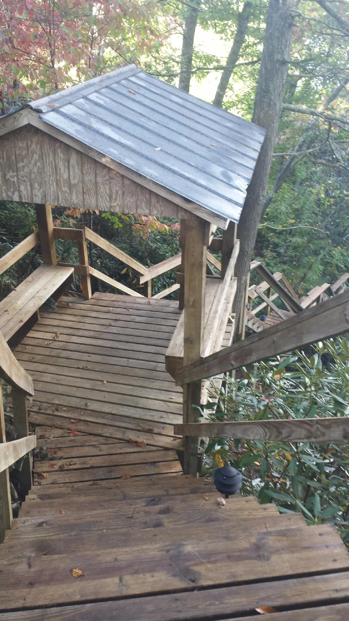 Metal roofed shelter over wooden steps on a wooded walkway — Skylight Repair & Installation work by our crew in Veneta